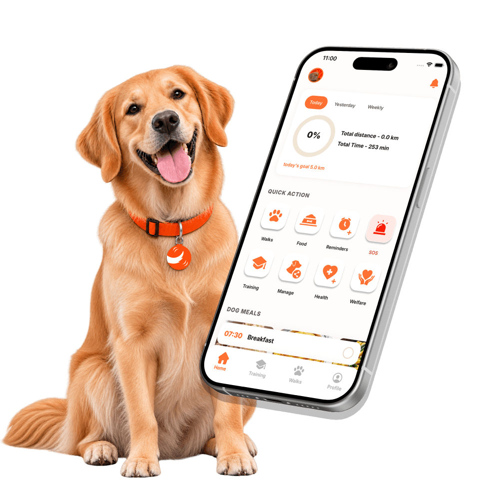 A golden retriever in a Wagly collar sitting beside a phone showing the Wagly home screen