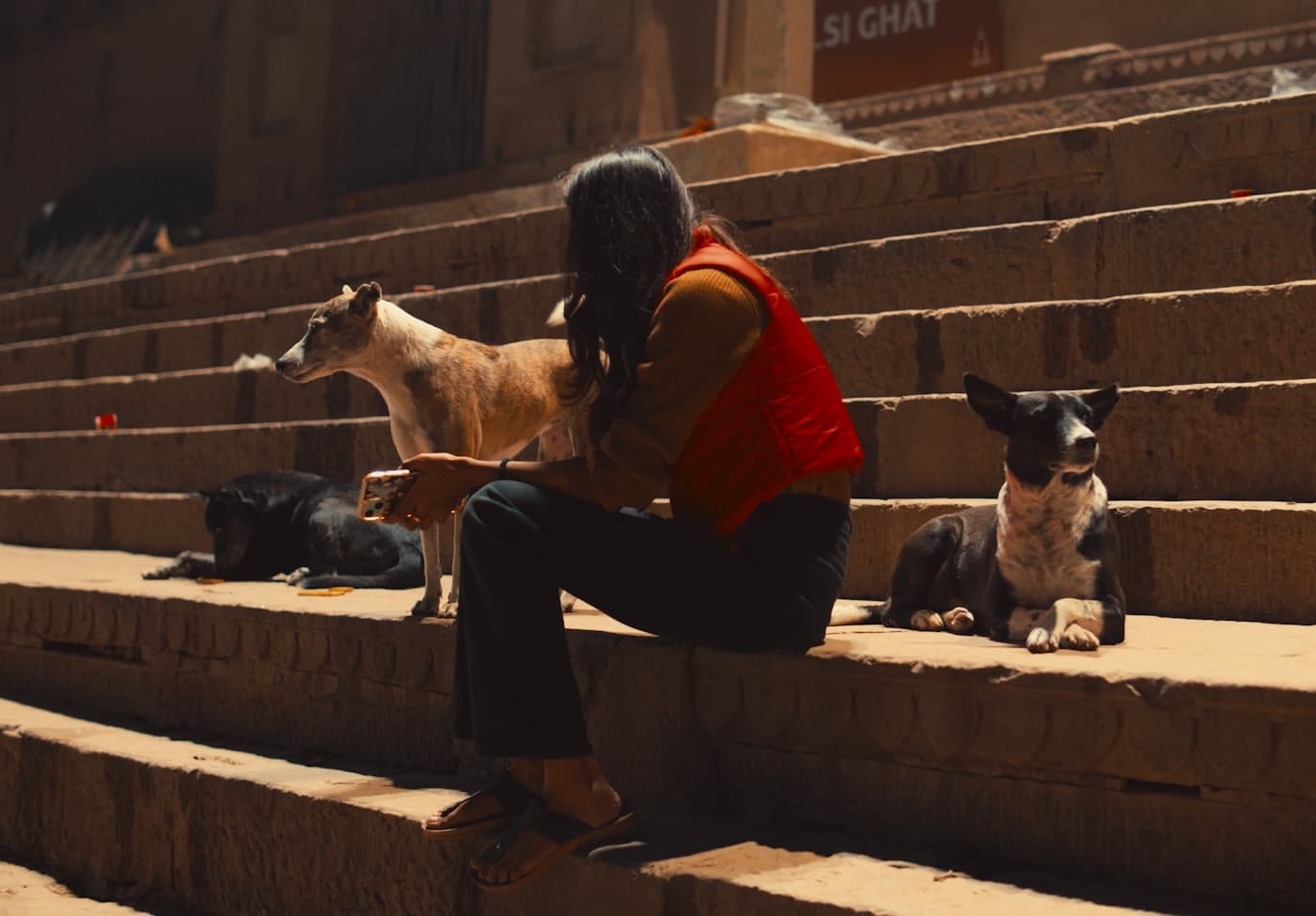 A woman sitting on steps surrounded by community street dogs